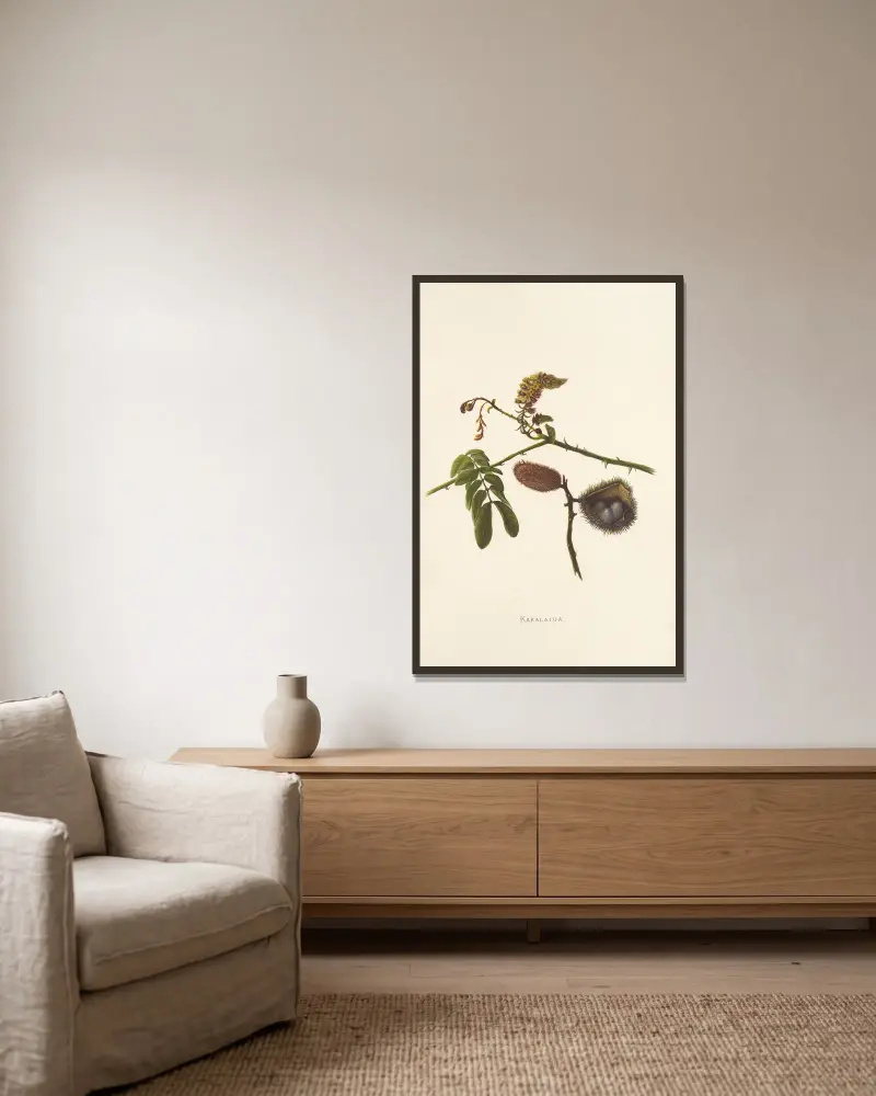 Kakalaioa von Isabella McHutcheson Sinclair gerahmt an einer Wand