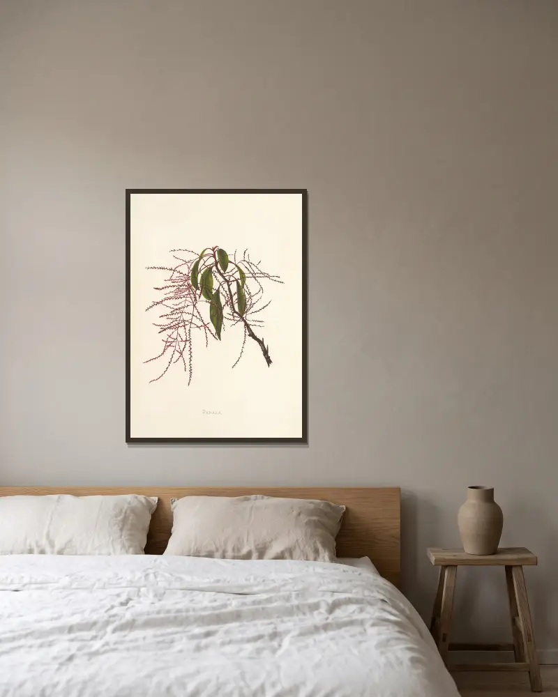 Papala von Isabella McHutcheson Sinclair gerahmt an einer Wand