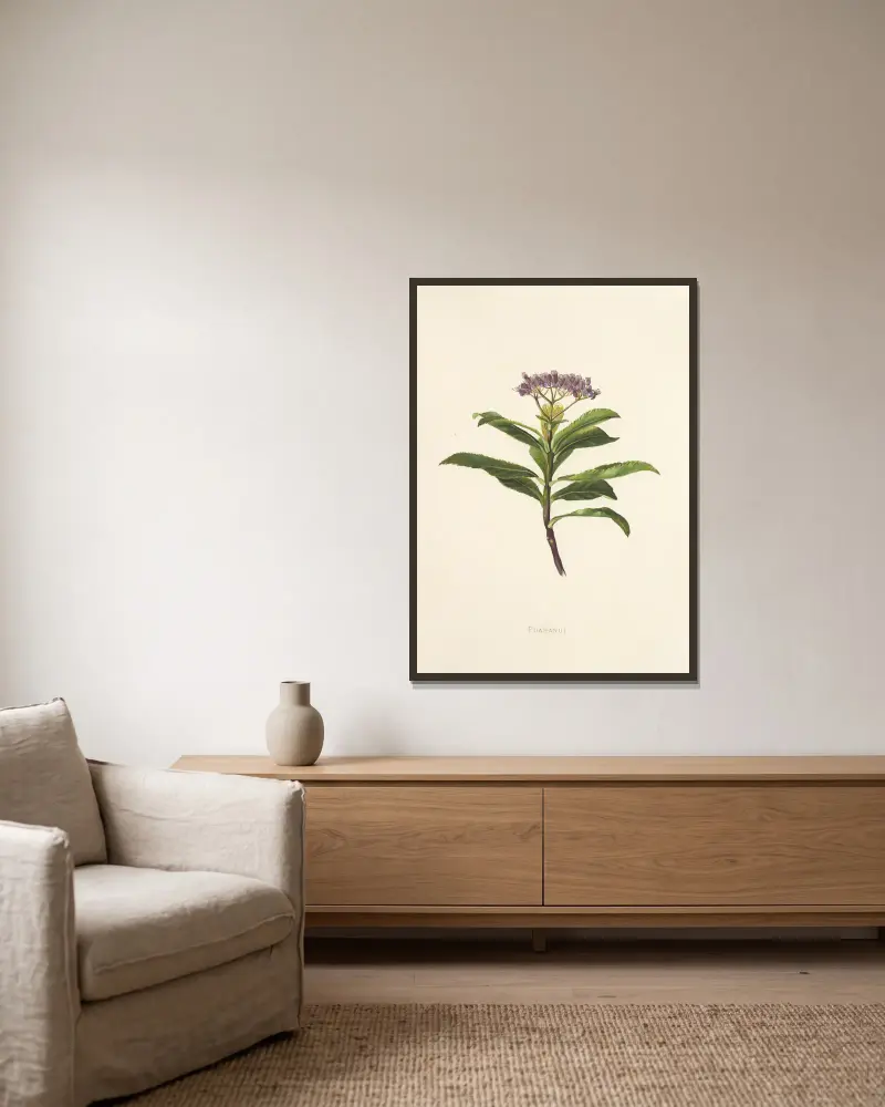 Poahanui von Isabella McHutcheson Sinclair gerahmt an einer Wand