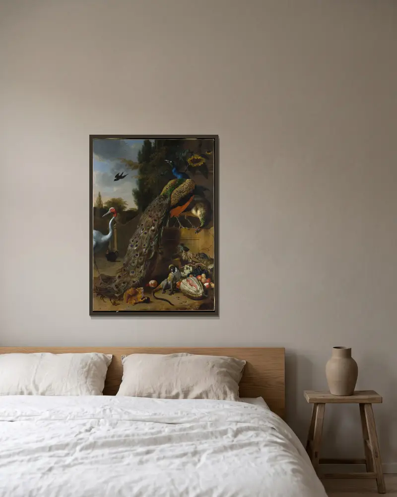 Pávi, Melchior d'Hondecoeter v rámu na stěně