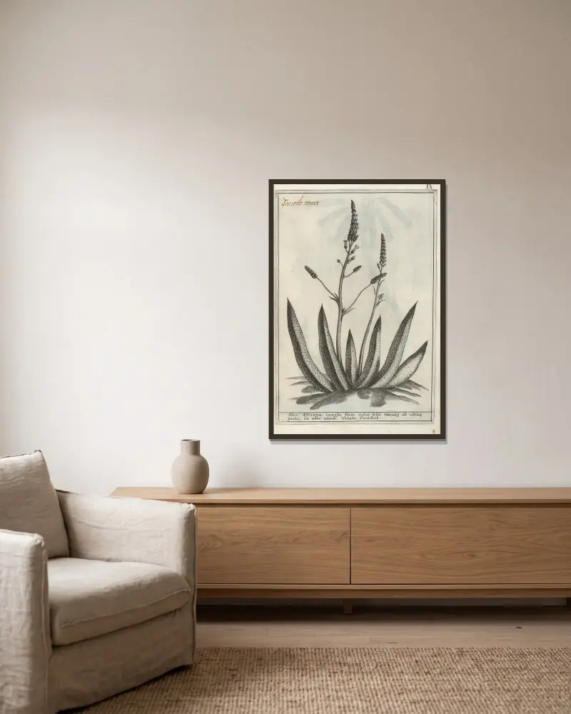 Catalogus plantarum horti Pisani Pl.09 av Michelangelo Tilli inramad på en vägg