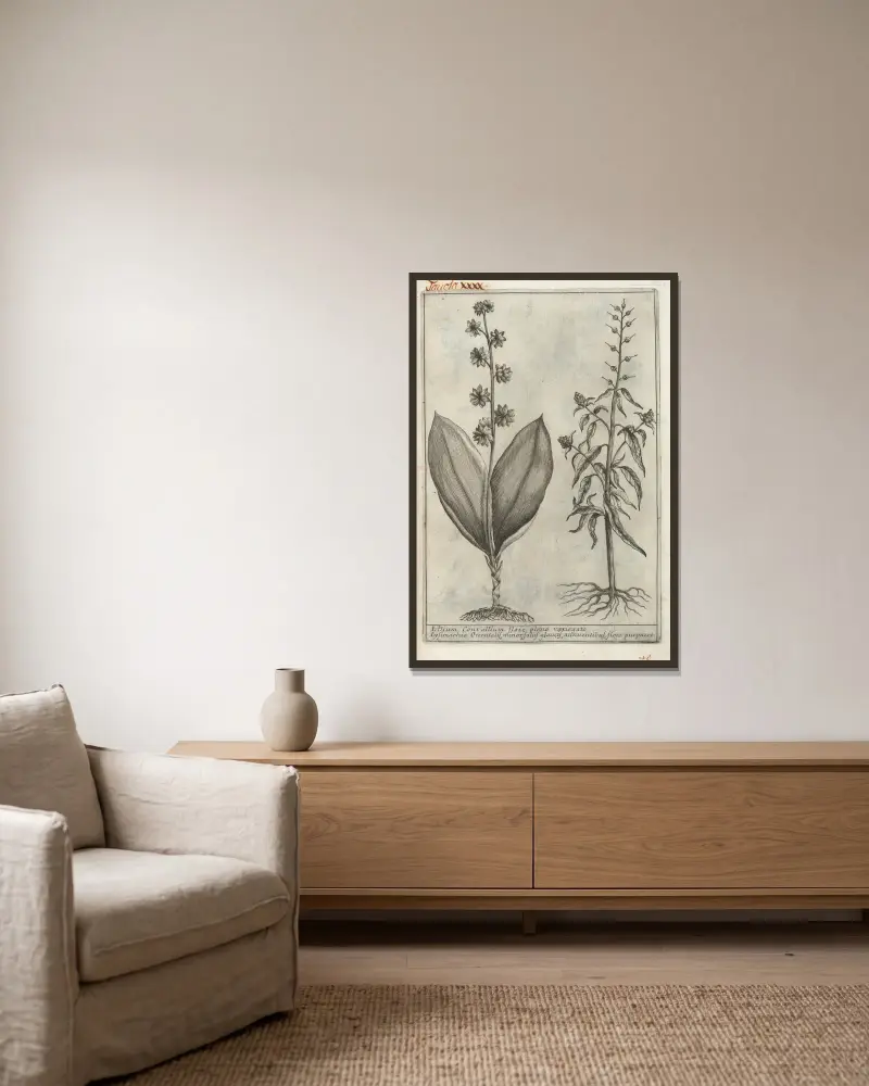 Catalogus plantarum horti Pisani Pl.40 av Michelangelo Tilli inramad på en vägg
