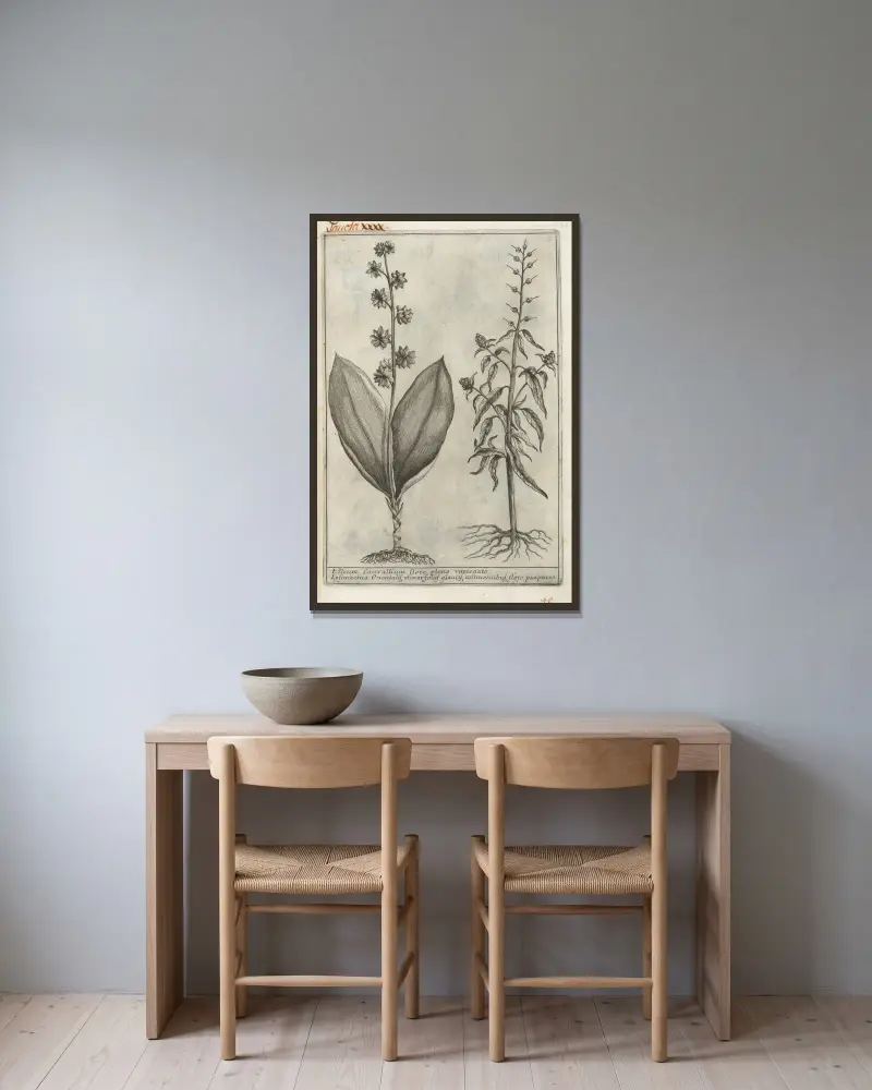 Catalogus plantarum horti Pisani Pl.40 av Michelangelo Tilli inramad på en vägg