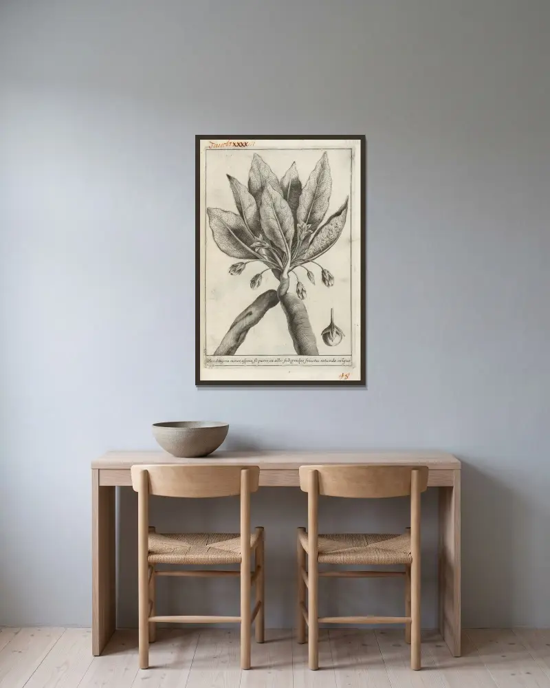 Catalogus plantarum horti Pisani Pl.43 av Michelangelo Tilli inramad på en vägg