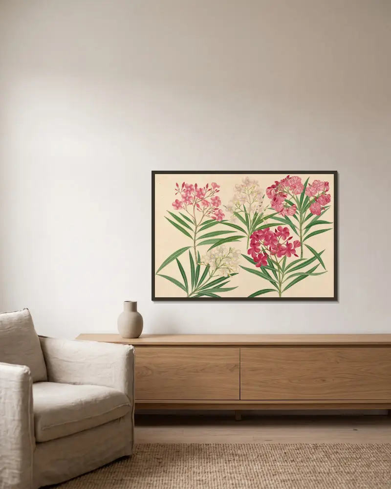Blumen von Miss Gough gerahmt an einer Wand