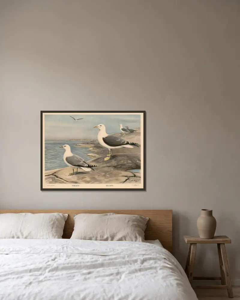 Flussbarsch. Rotauge. Hecht von Nils Tirén gerahmt an einer Wand