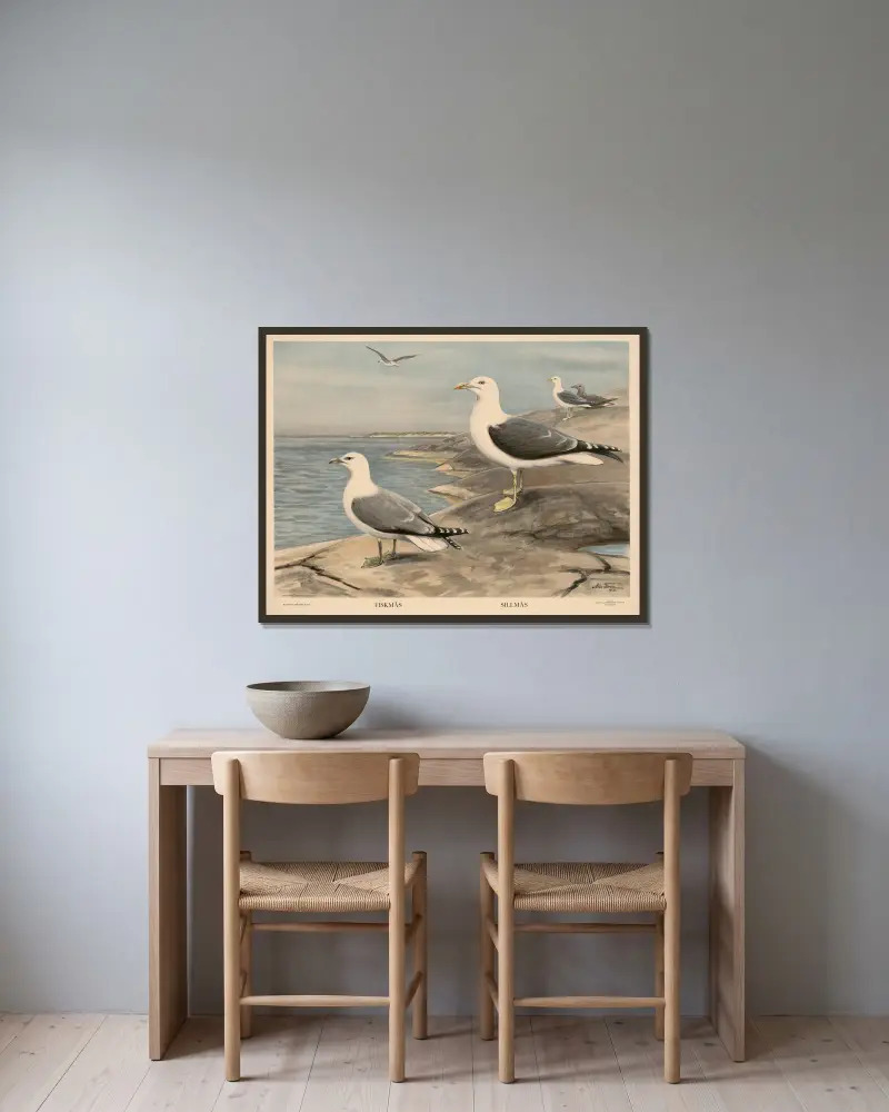Flussbarsch. Rotauge. Hecht von Nils Tirén gerahmt an einer Wand