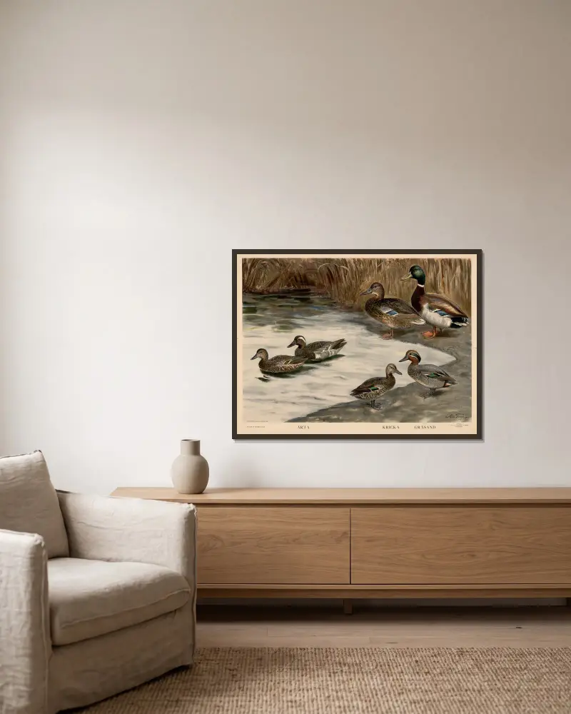 Arta. Kricka. Gräsand von Nils Tirén gerahmt an einer Wand