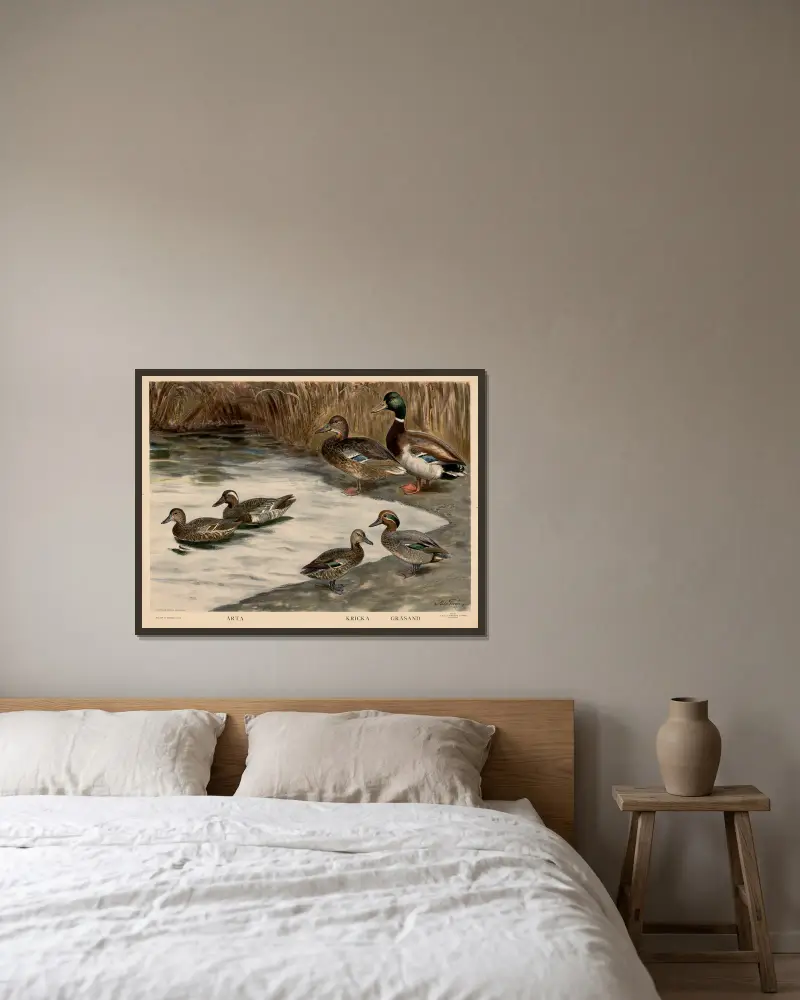 Arta. Kricka. Gräsand von Nils Tirén gerahmt an einer Wand
