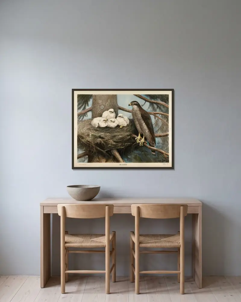 Jestřáb, Nils Tirén v rámu na stěně