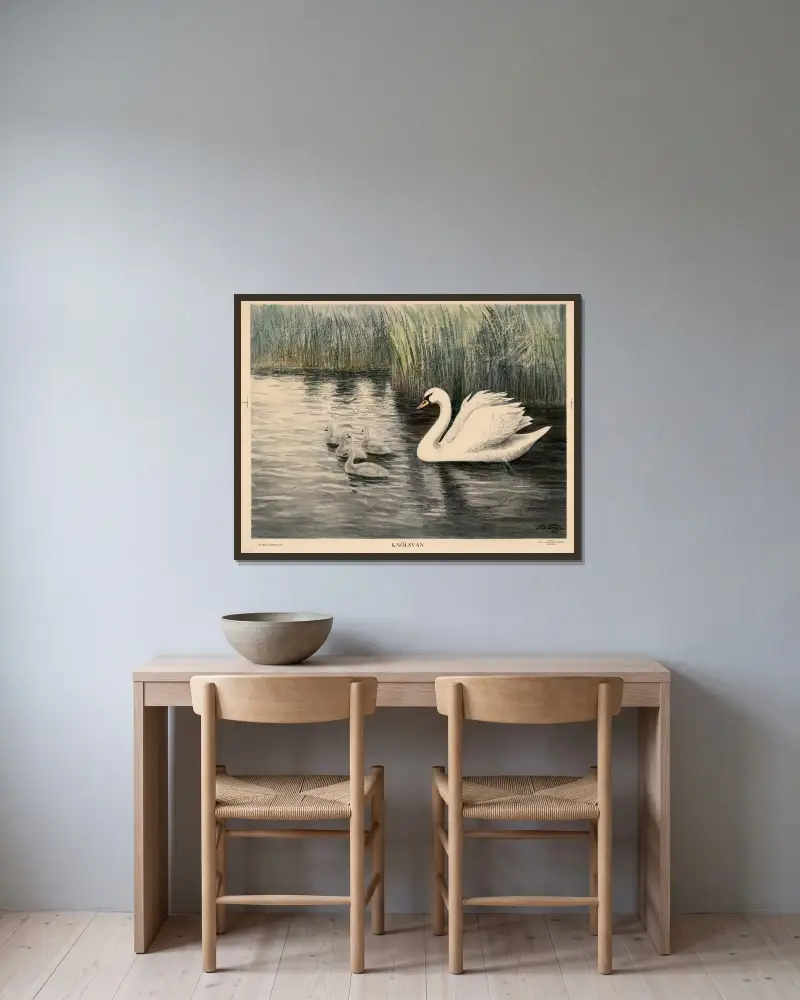 Labuť zpěvná, Nils Tirén v rámu na stěně