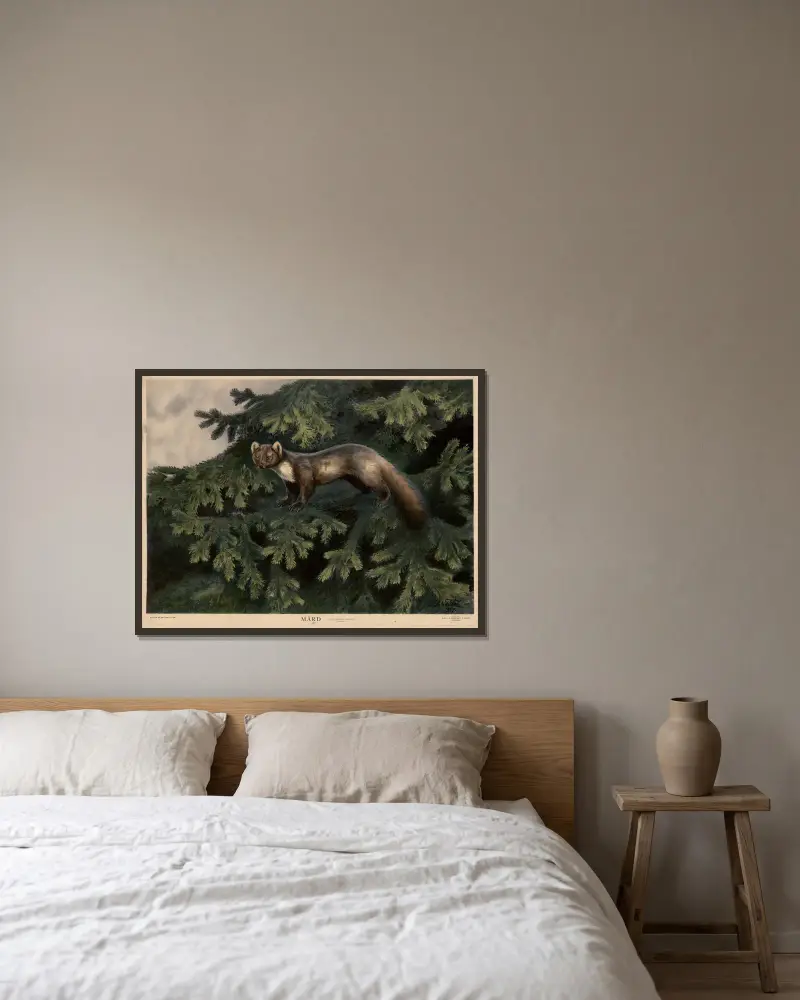 Marder von Nils Tirén gerahmt an einer Wand