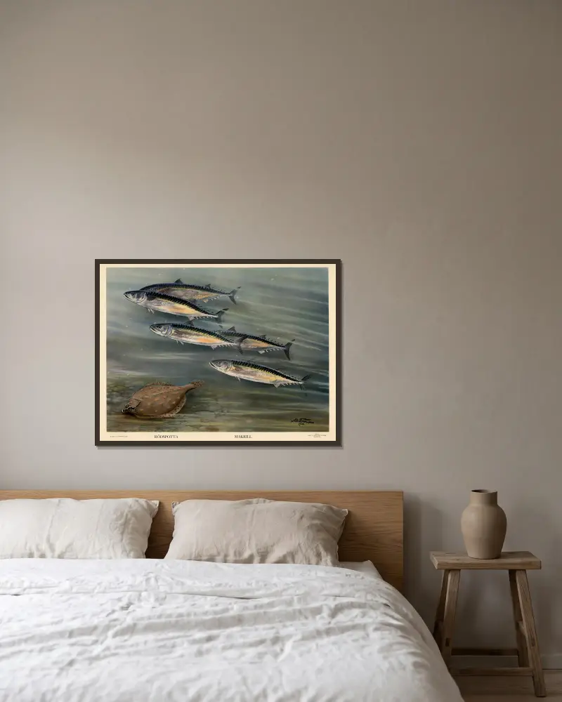 Rotzunge. Makrele. von Nils Tirén gerahmt an einer Wand
