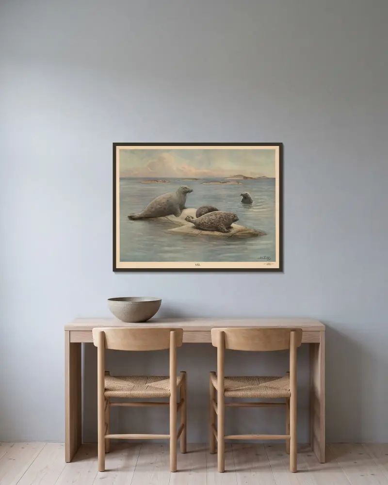 Seehund von Nils Tirén gerahmt an einer Wand