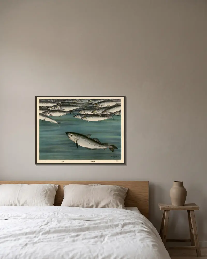 Hering. Grauer Dorsch. von Nils Tirén gerahmt an einer Wand