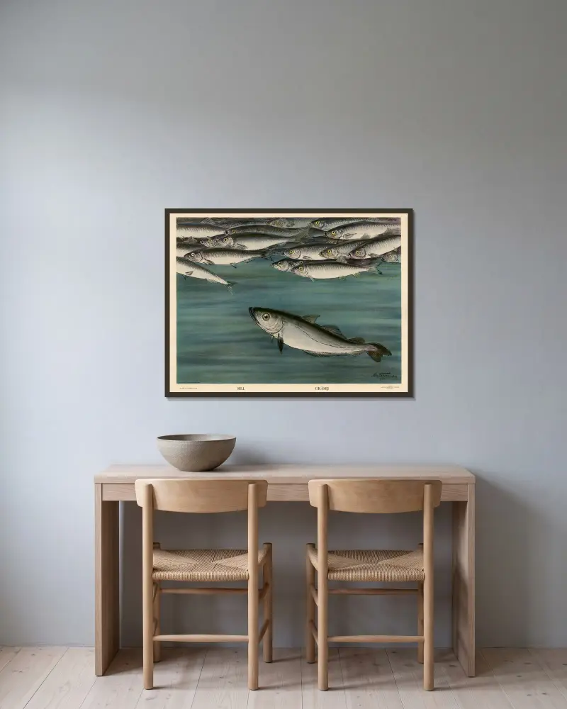 Hering. Grauer Dorsch. von Nils Tirén gerahmt an einer Wand