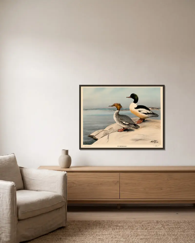 Gänsesäger von Nils Tirén gerahmt an einer Wand