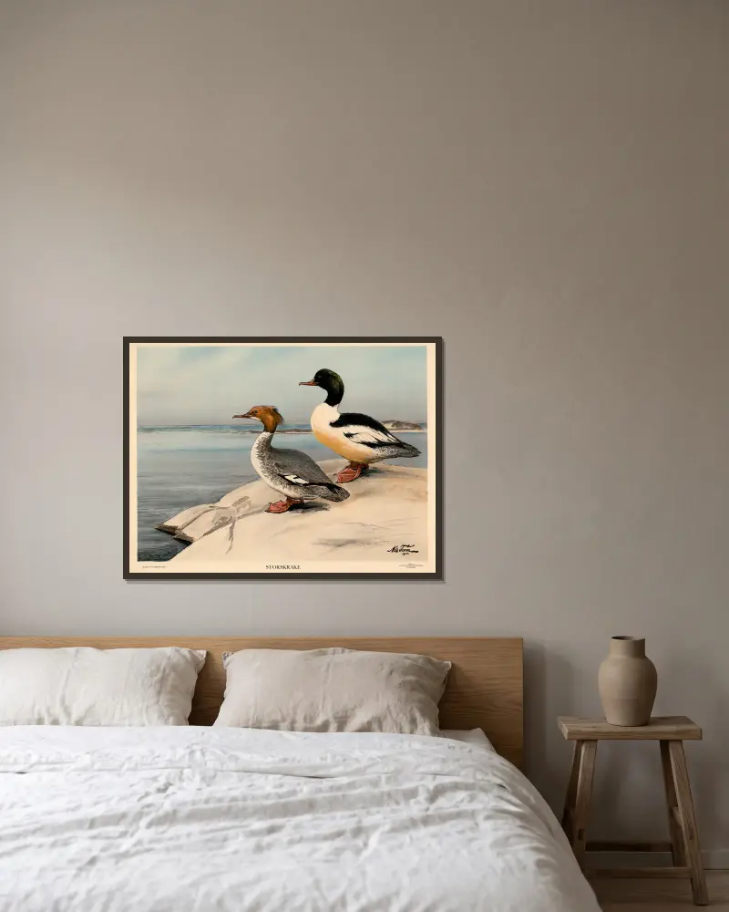 Gänsesäger von Nils Tirén gerahmt an einer Wand