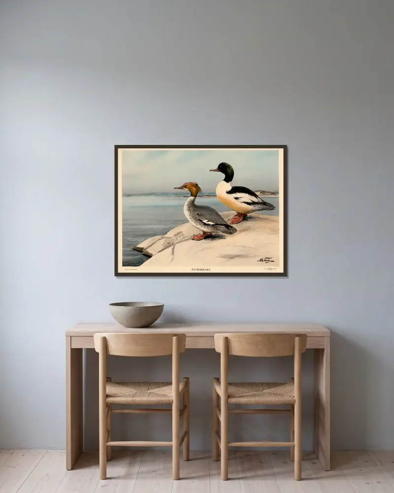 Gänsesäger von Nils Tirén gerahmt an einer Wand