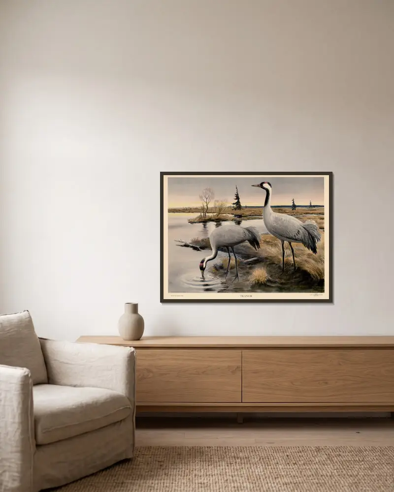 Kraniche von Nils Tirén gerahmt an einer Wand