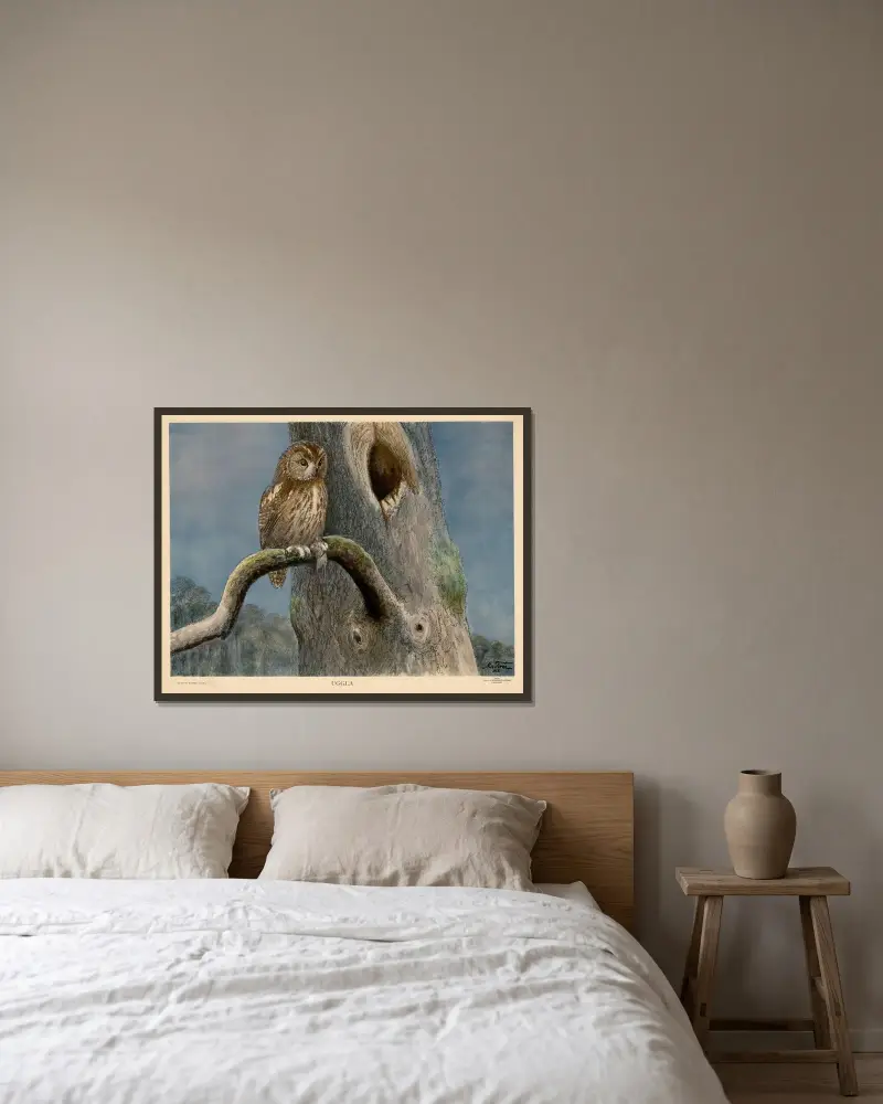 Sova, Nils Tirén v rámu na stěně