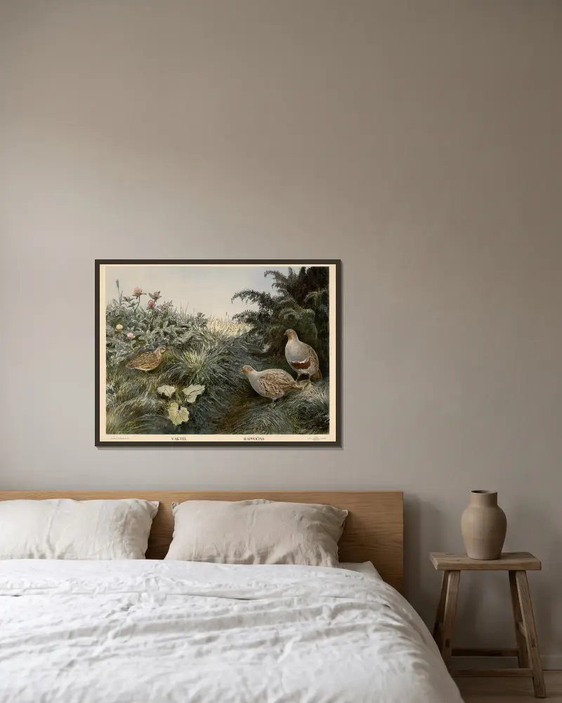 Wachtel. Rebhühner von Nils Tirén gerahmt an einer Wand