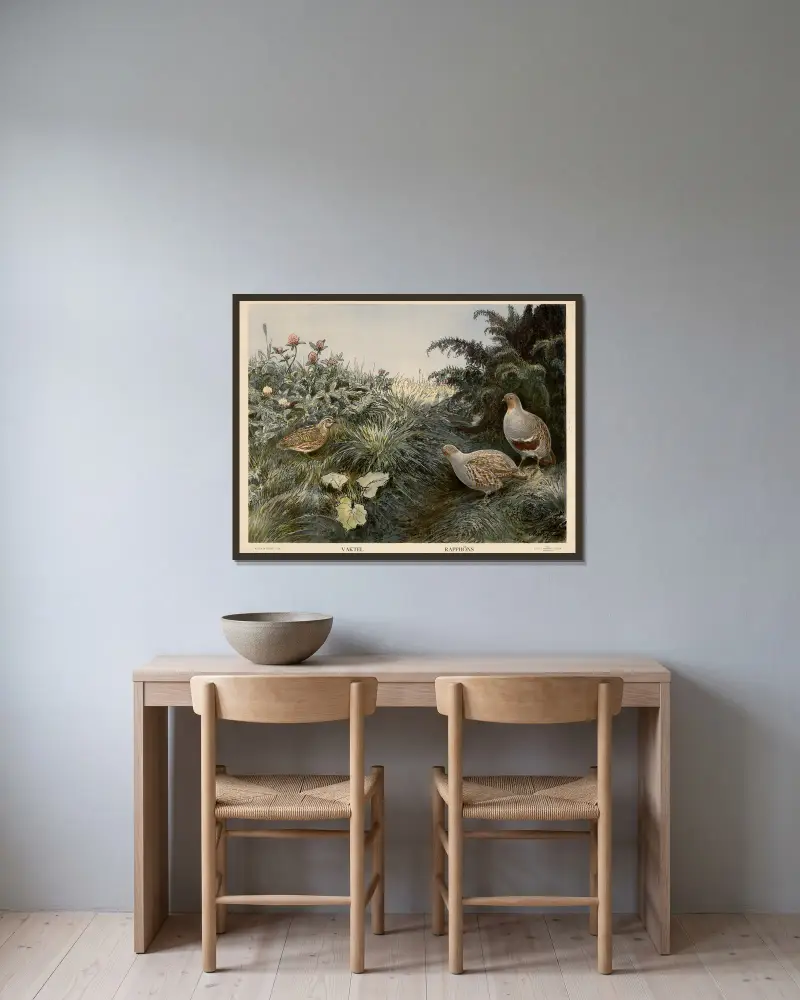 Wachtel. Rebhühner von Nils Tirén gerahmt an einer Wand