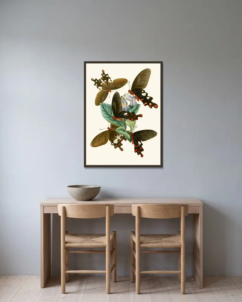 Orientalisk entomologisk samling, plansch I av John Obadiah Westwood inramad på en vägg