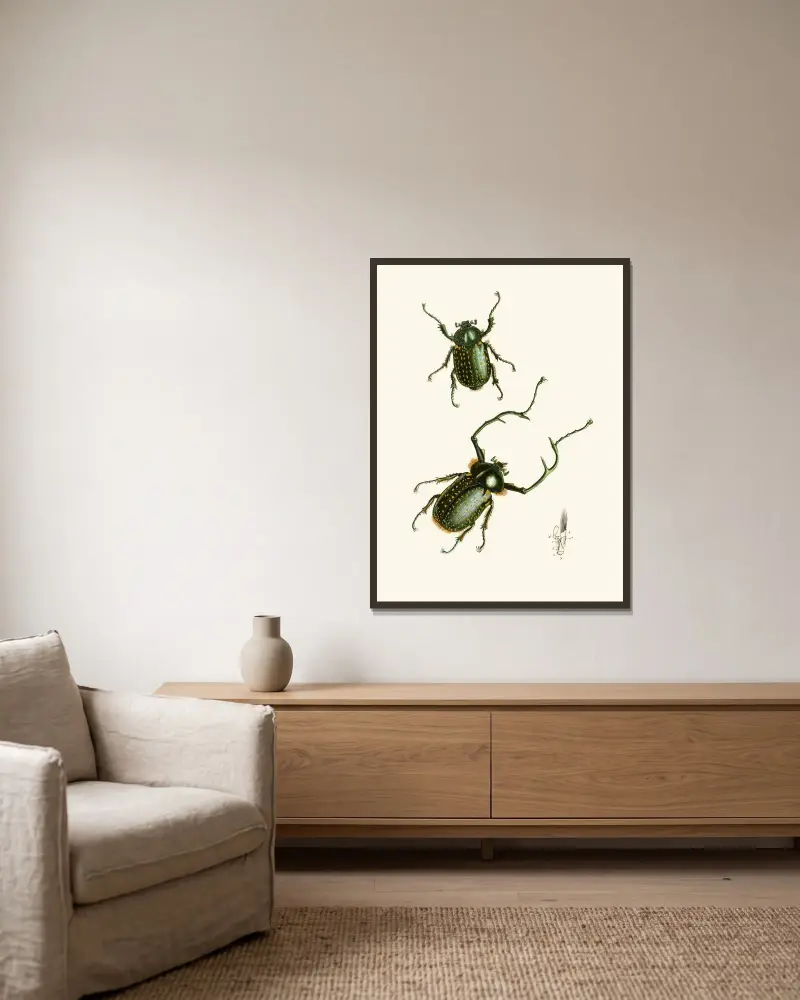 The cabinet of oriental entomology Pl II av John Obadiah Westwood inramad på en vägg