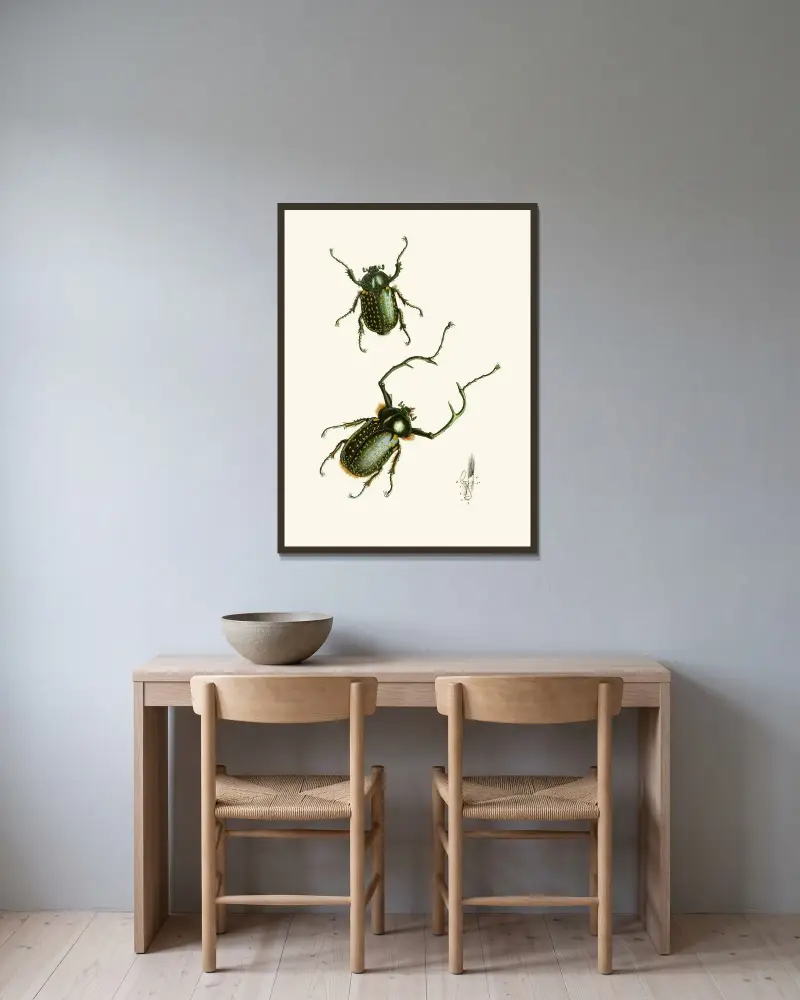 The cabinet of oriental entomology Pl II av John Obadiah Westwood inramad på en vägg