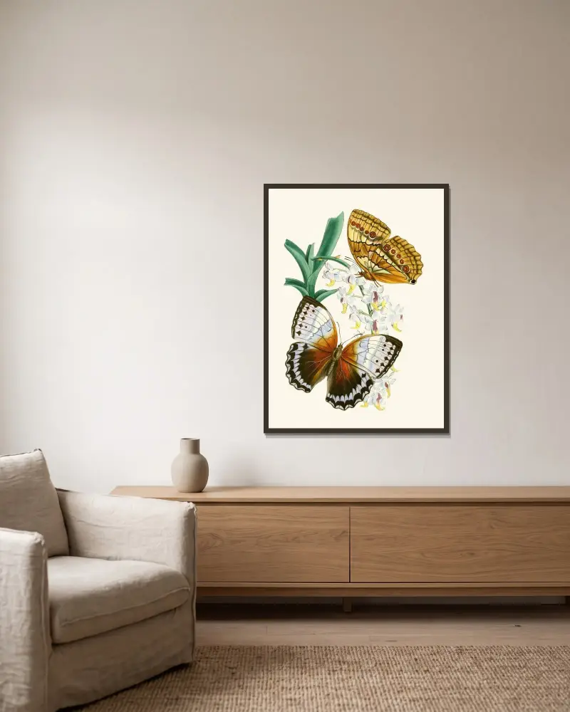 Gabinet entomologii orientalnej, plansza V, John Obadiah Westwood w ramie na ścianie