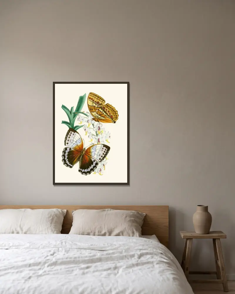 Gabinet entomologii orientalnej, plansza V, John Obadiah Westwood w ramie na ścianie