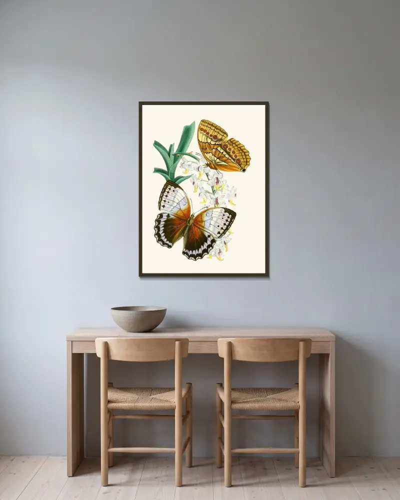 Gabinet entomologii orientalnej, plansza V, John Obadiah Westwood w ramie na ścianie