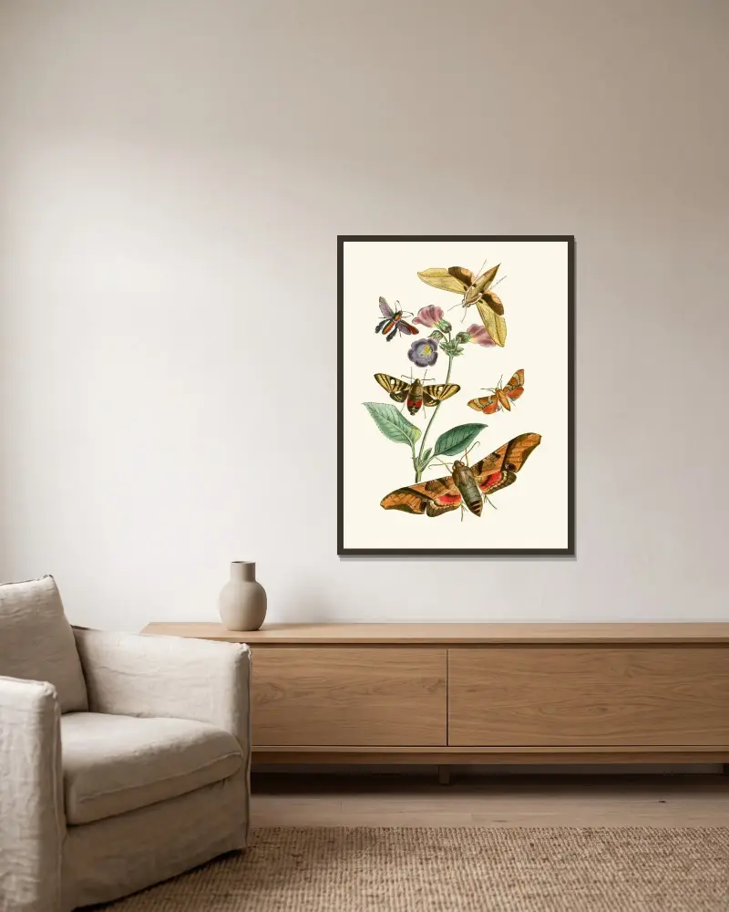 Das Kabinett der orientalischen Entomologie Taf VII von John Obadiah Westwood gerahmt an einer Wand