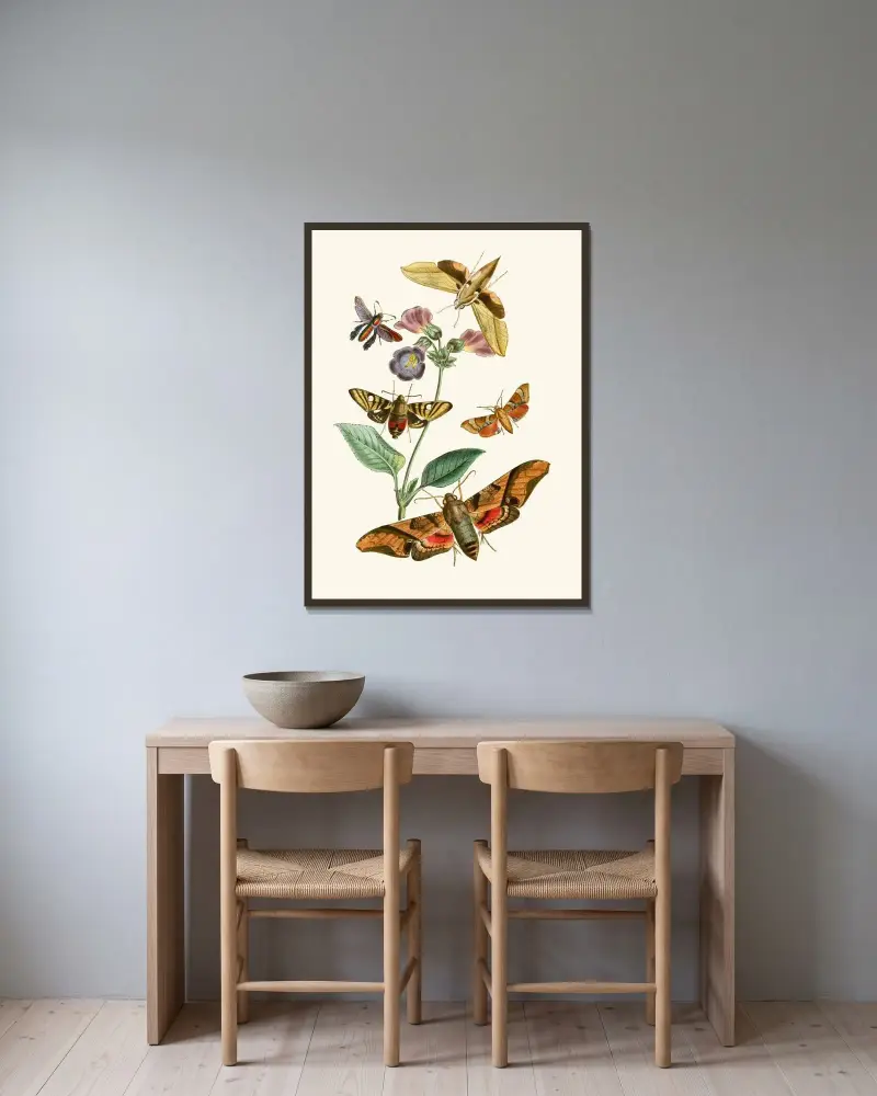 Das Kabinett der orientalischen Entomologie Taf VII von John Obadiah Westwood gerahmt an einer Wand