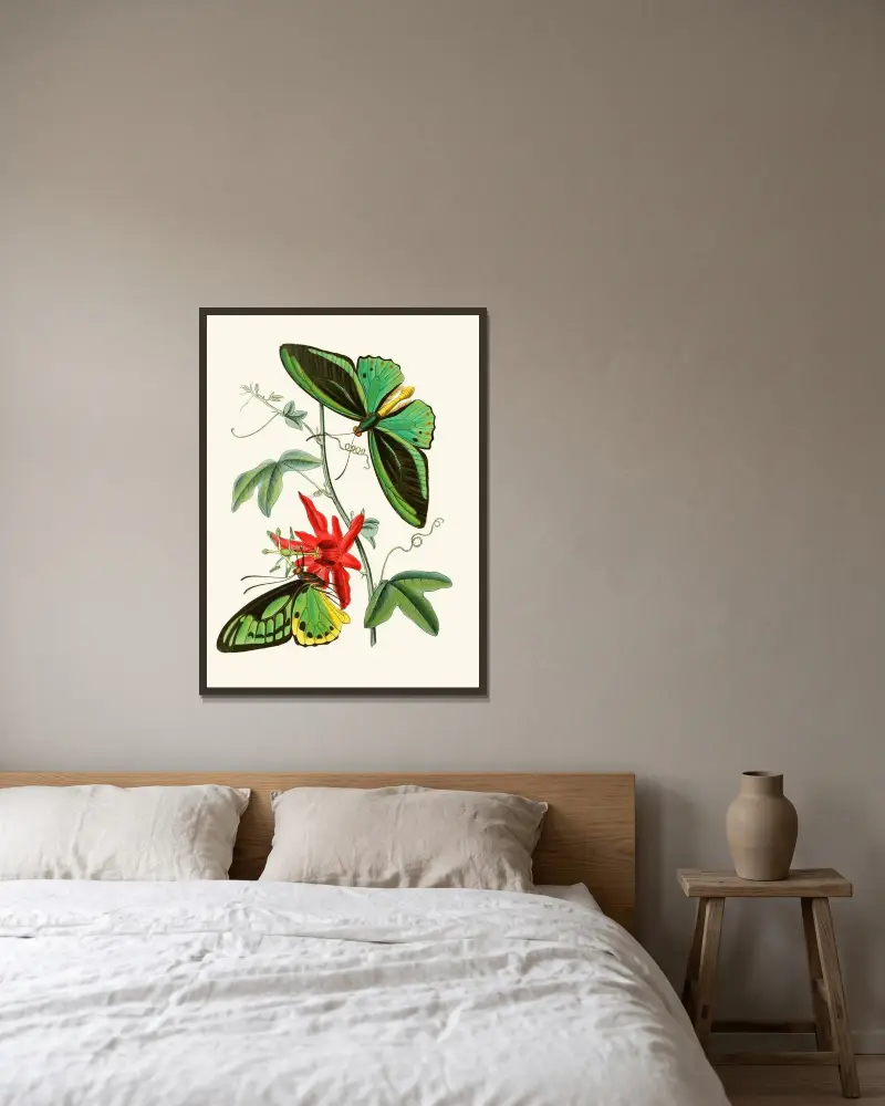 Das Kabinett der orientalischen Entomologie Taf. XII von John Obadiah Westwood gerahmt an einer Wand