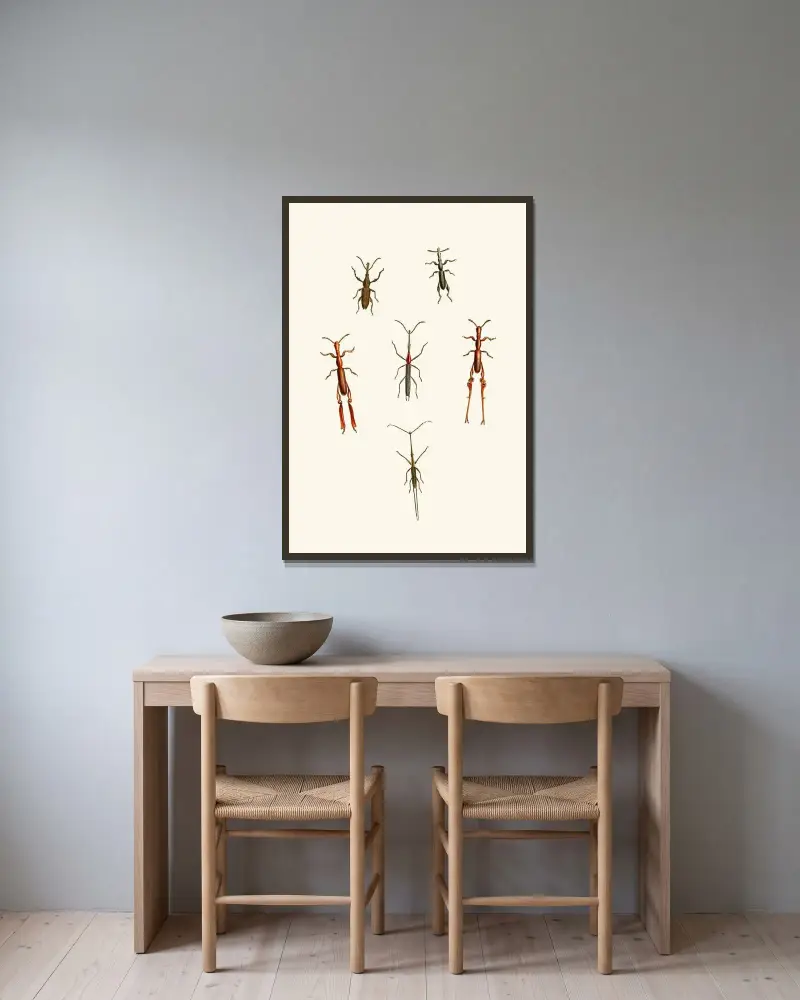 The cabinet of oriental entomology Pl XVI av John Obadiah Westwood inramad på en vägg