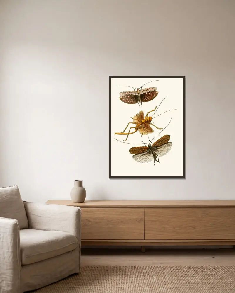 Gabinet entomologii orientalnej, tablica XVII, John Obadiah Westwood w ramie na ścianie