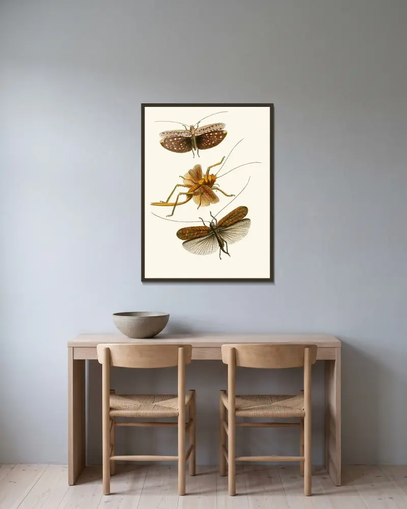 Gabinet entomologii orientalnej, tablica XVII, John Obadiah Westwood w ramie na ścianie