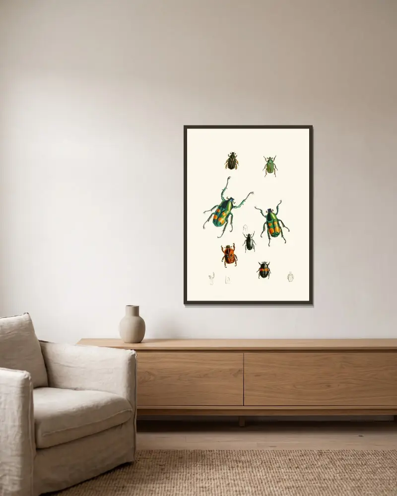The Cabinet of Oriental Entomology Pl. XVIII av John Obadiah Westwood inramad på en vägg
