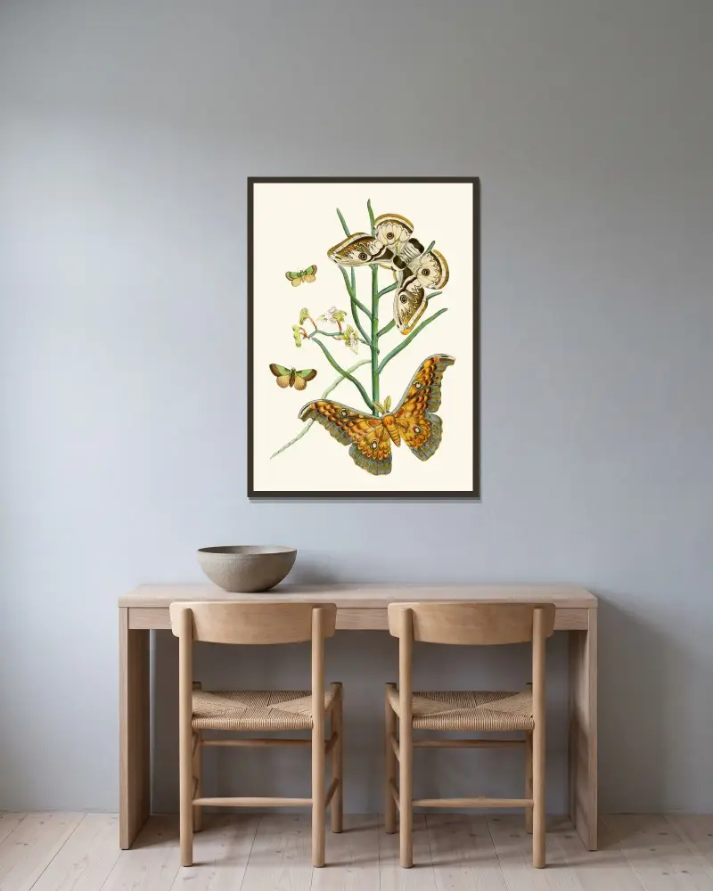 Das Kabinett der orientalischen Entomologie Pl. XXV von John Obadiah Westwood gerahmt an einer Wand