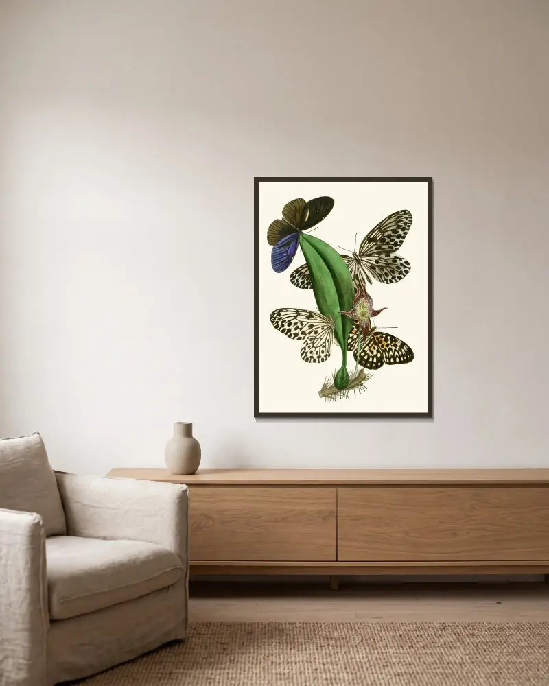 The Cabinet of Oriental Entomology Pl. XXXVIII von John Obadiah Westwood gerahmt an einer Wand