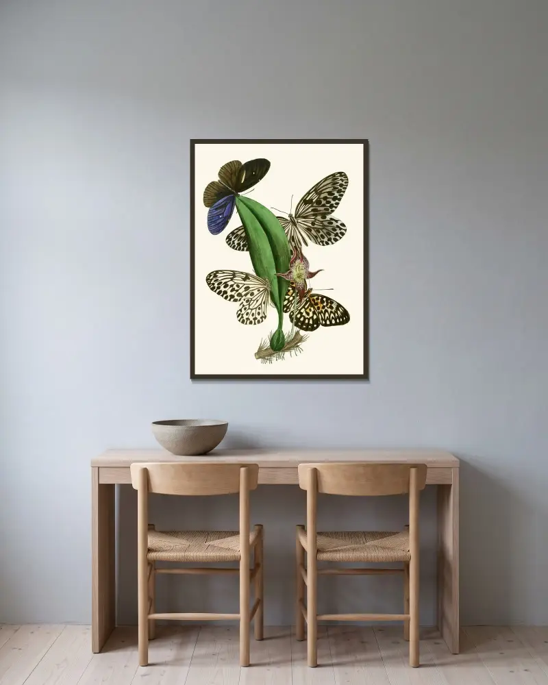 The Cabinet of Oriental Entomology Pl. XXXVIII von John Obadiah Westwood gerahmt an einer Wand