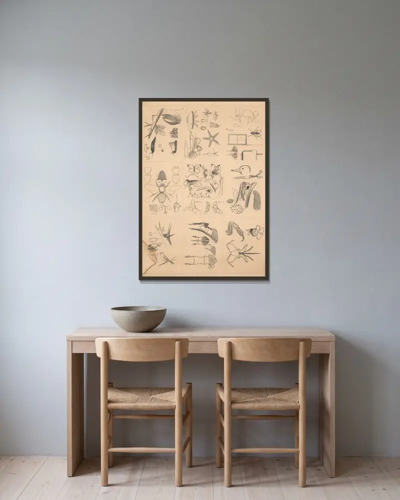Animal drawings av Paul Flanderky inramad på en vägg