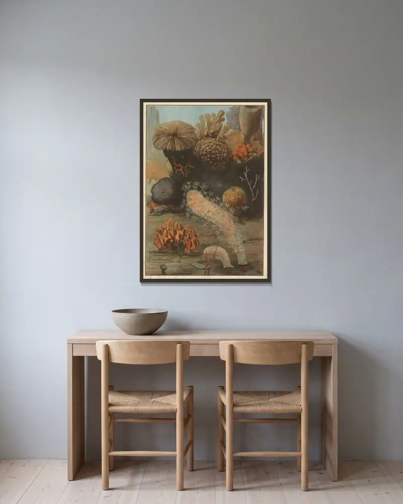 Corals and fungi av Paul Flanderky inramad på en vägg