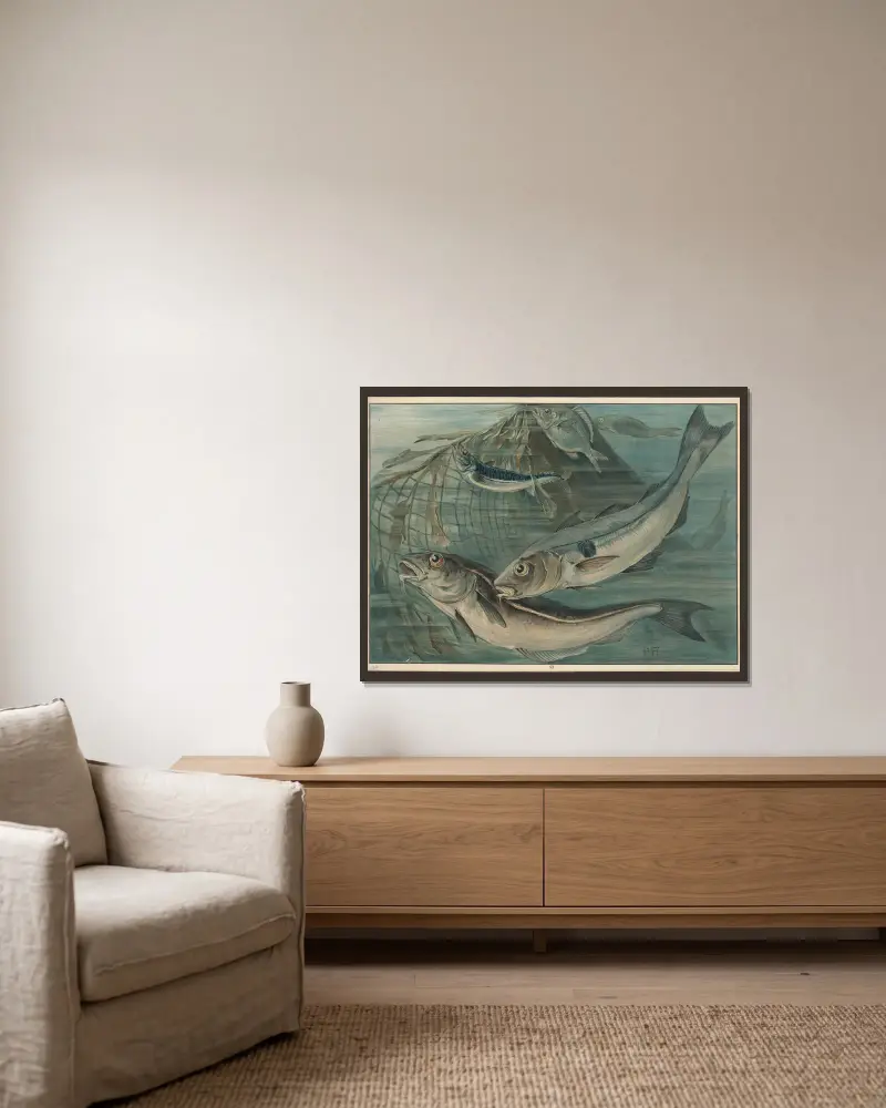 Schellfisch, Makrele und Goldbrasse von Paul Flanderky gerahmt an einer Wand
