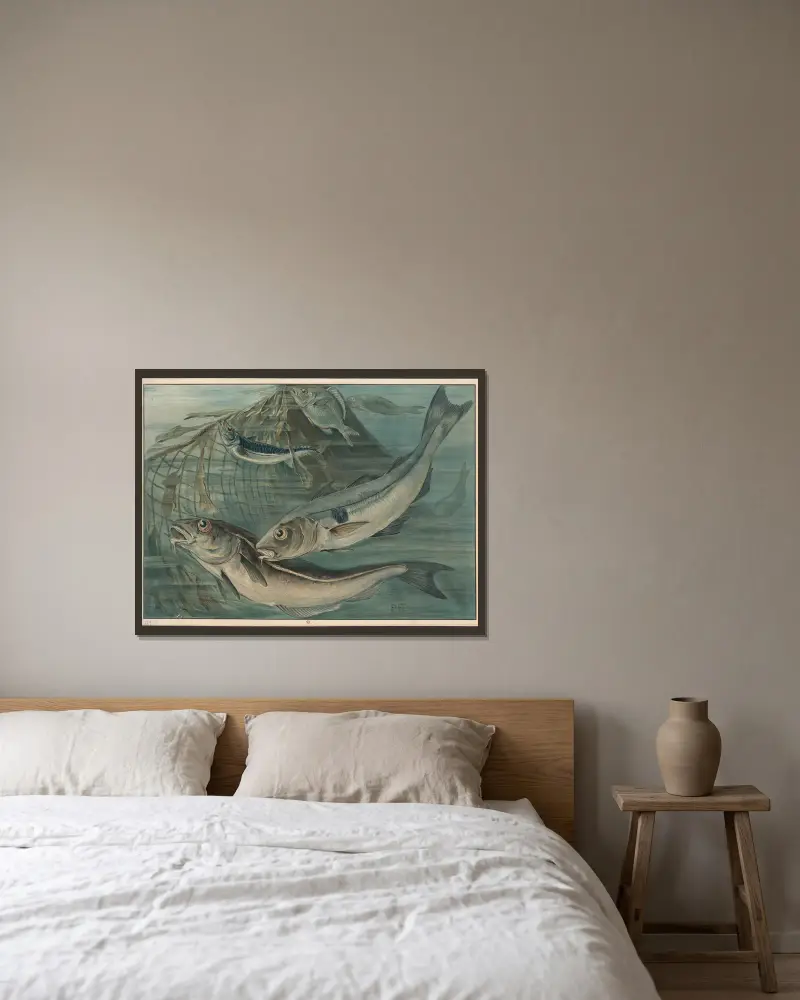 Schellfisch, Makrele und Goldbrasse von Paul Flanderky gerahmt an einer Wand