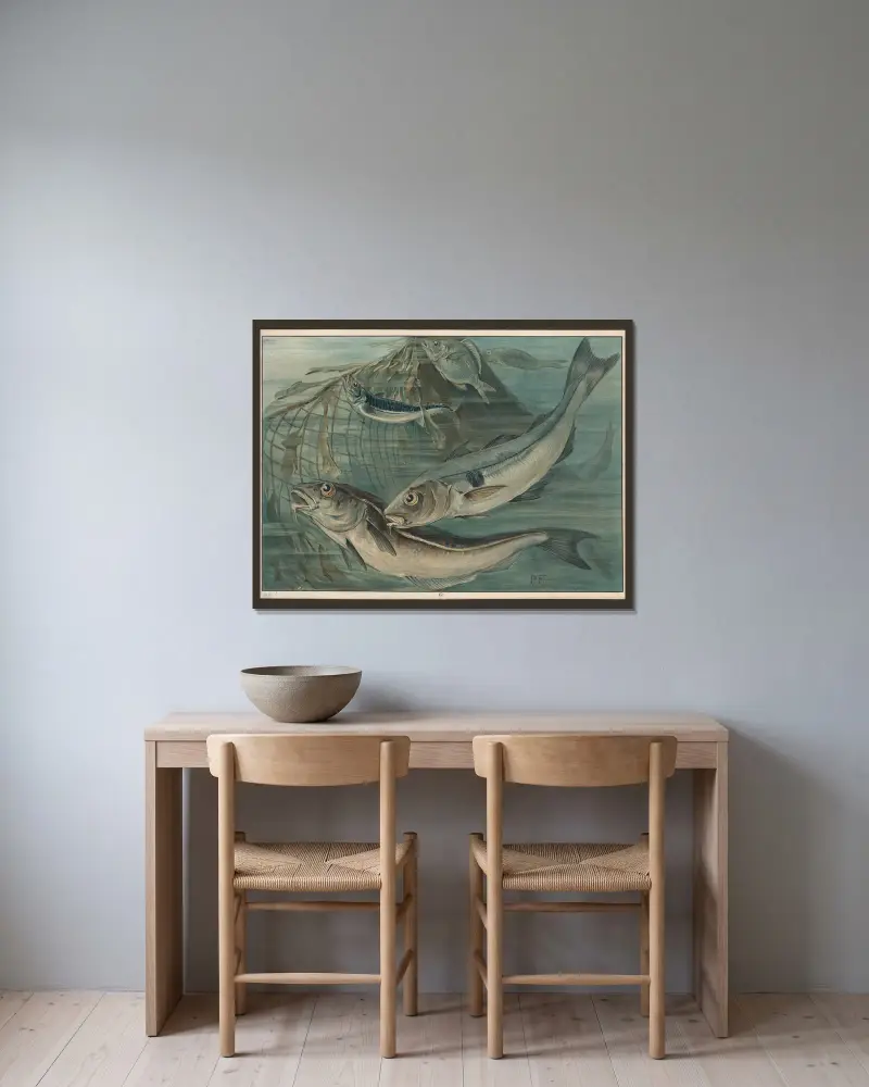 Schellfisch, Makrele und Goldbrasse von Paul Flanderky gerahmt an einer Wand