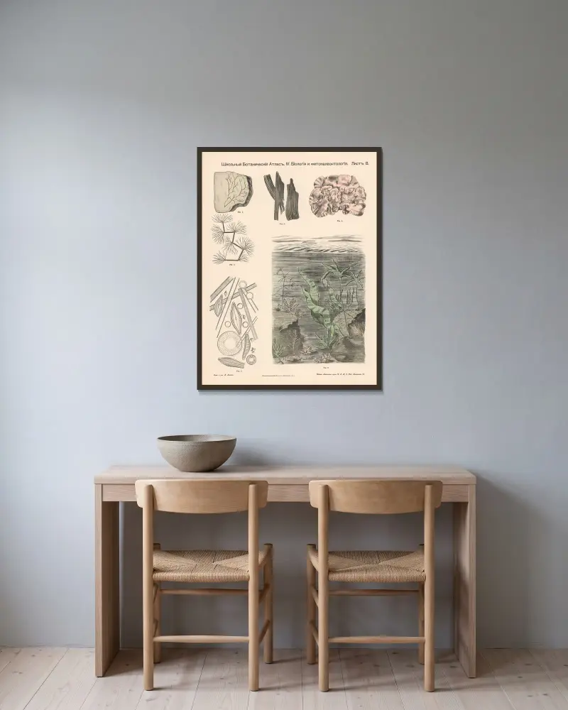 Aquatic plants. Fossils. av Alexander-Paul Henckel inramad på en vägg