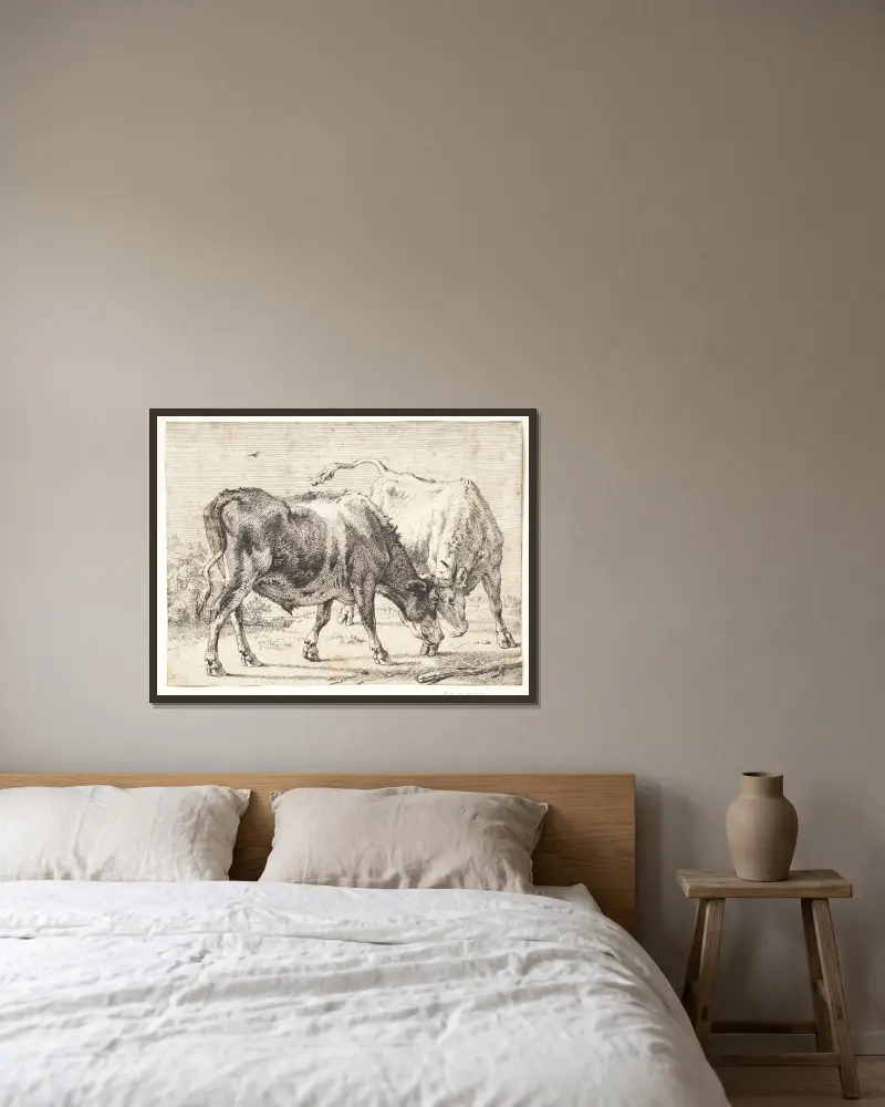 Zwei kämpfende Ochsen von Paulus Potter gerahmt an einer Wand
